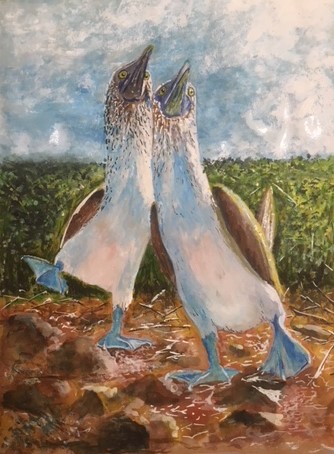 You are currently viewing Blue Footed Boobies – SOLD