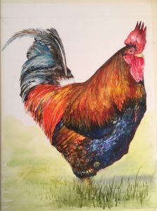 Read more about the article Gerald the British Cockerel – SOLD