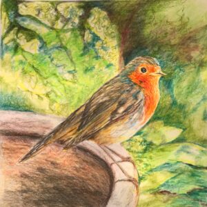 Robin Red Breast – SOLD