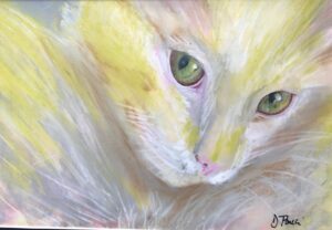 Read more about the article Mystic Kitten – SOLD