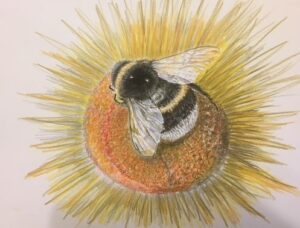Read more about the article Being a Bee – SOLD (framed print available)