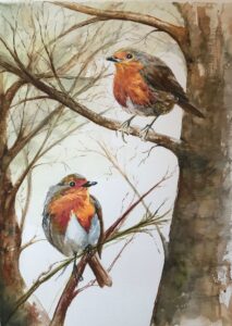 Read more about the article Two Robins