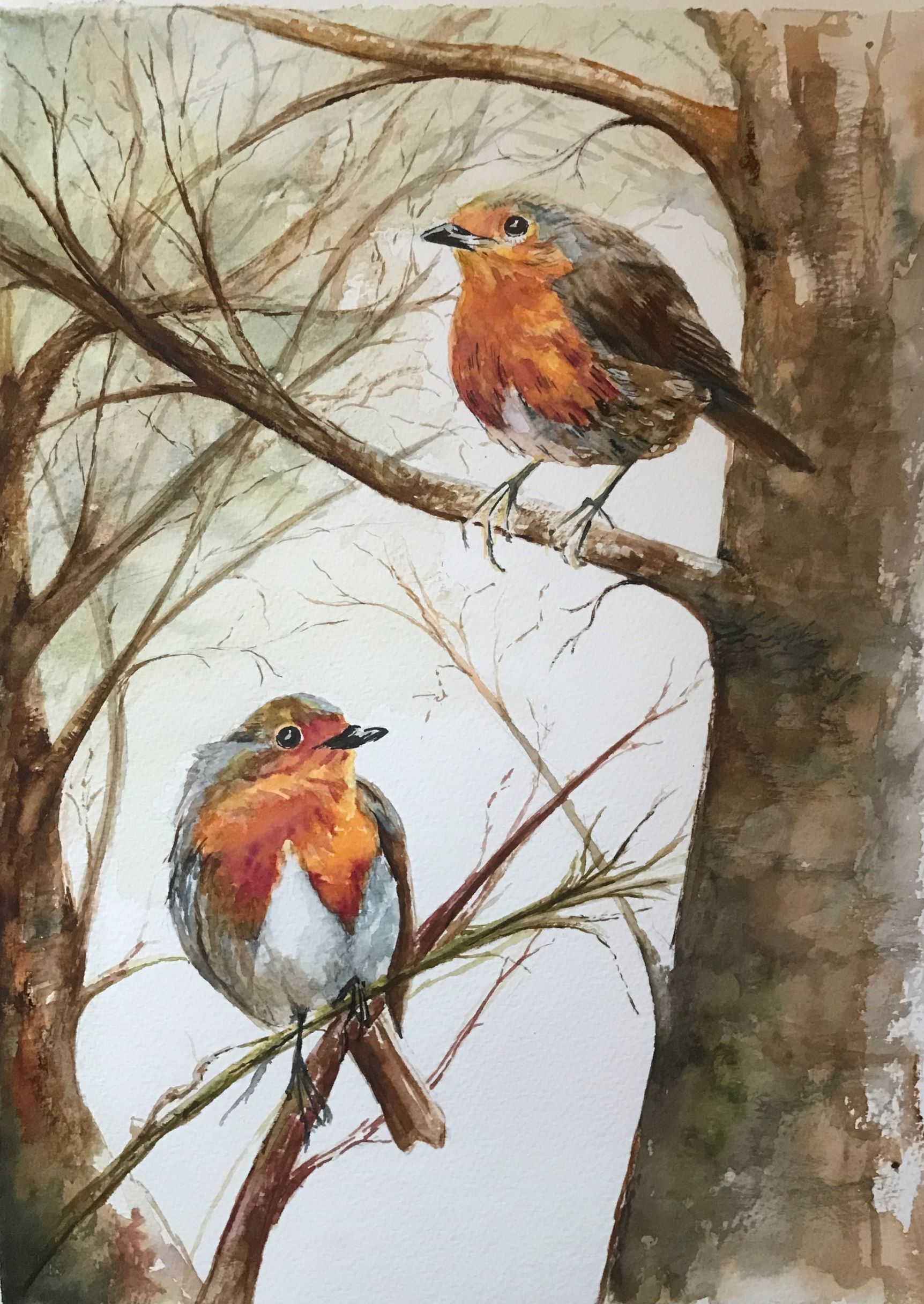 You are currently viewing Two Robins