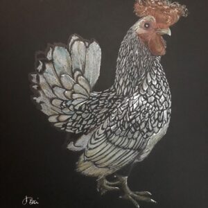 Punk Poulet – on display and available to purchase at Photovogue Studio, Frinton
